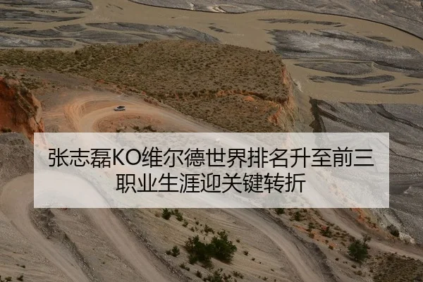 张志磊KO维尔德世界排名升至前三 职业生涯迎关键转折